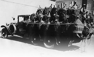 Dal 1895